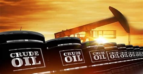 The Effects of Crude Oil Price Fluctuations on Developing Nations